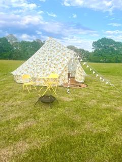 Wildside Camping & Glamping - Ashford - 3