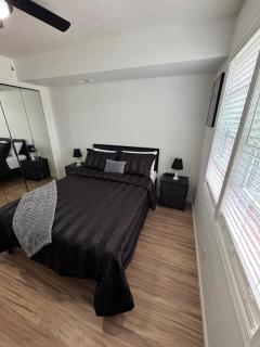 Contemporary Cutie - Lincoln - 1