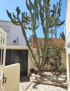 Villa Soleil -3BR élégante à 2 pas de la plage - Oulad Akkou - 9