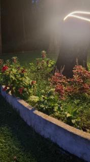Coffee Paradise Resort - Chikmagalūr - 8