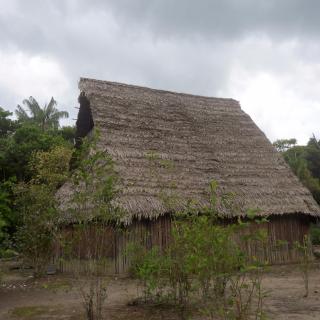 Cuchira Lodge - Leticia - 3