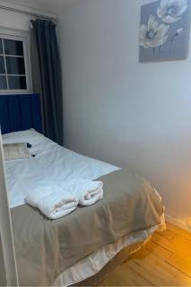 Luxurious London 5 Bedroom house - Londra - 2