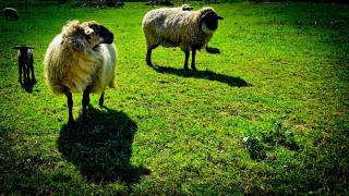 SURFtoLIVE House - 1