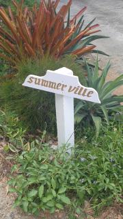SummervilleBVI - Great Mountain - 6