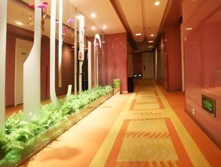 Tomolo Hotel Wuzhan Branch - Wuhan - 3