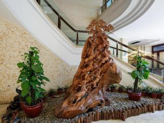 Nan Guo Hotel - Guangzhou - 6