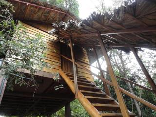 Inn On The Tree - Sigiriya - 0