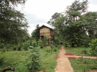 Inn On The Tree - Sigiriya - 2