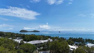 Oasis at Palm Cove - Palm Cove - 8