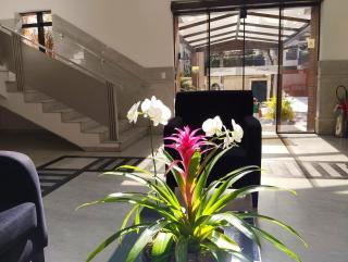 Hampton Park, Great Location - 3