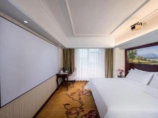Vienna Hotel Shenzhen Pinghu Shuangyong Street Metro Station - Tiantangwei - 3