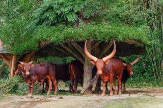 SURGA DIRGA RESORT - 2