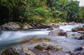 SURGA DIRGA RESORT - Puncak - 1