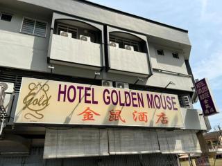 OYO 90994 Hotel Golden Mouse - Ipoh - 4
