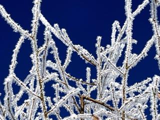 5-Sterne Wohlfühl-Ferienhaus Eifellust - Gönnersdorf - 4