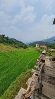 Ura Ura Homestay - - 9