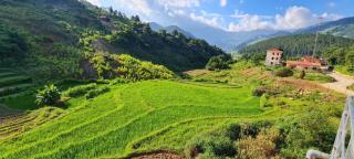Ura Ura Homestay - - 2