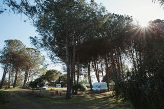 Caravane amy on the beach - 5