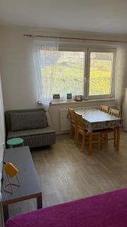 Slunný byt v Jizerských horách 5 postelí - 9