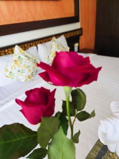 Mountain Creek Wellness Resort - Chiang Mai - 2