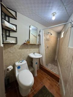 Cuarto estudio HERSOR - 1