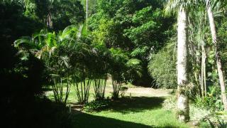Quarto em casa na Mata Atlântica - Angra dos Reis - 9