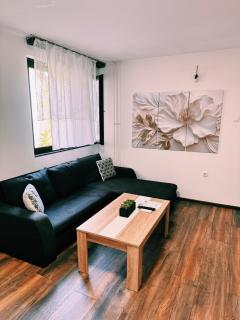 The Boulevard Buzz - Zrenjanin - 8
