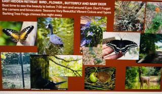 Priv Hidden retreat ATV trails spa fishing outdoor activities - Jefferson - 8