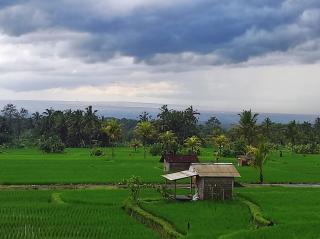 Moriyya vila - Tampaksiring - 0