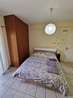 Diana's cozy 1 studio - Ioannina - 4