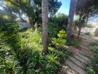 LightHouse Sanctuary - Joanesburgo - 0