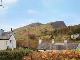 Edward Terrace Cottage - Bettws Garmon - 0