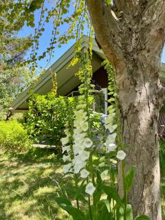 Cozy cabin close to the sea - Gilleleje - 0