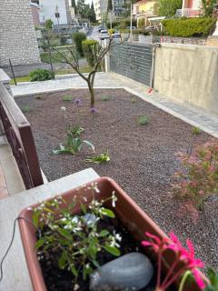 Apartmani Darko - Rovinj - 3