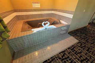 Super 8 by Wyndham McLean/Bloomington SW - McLean - 7