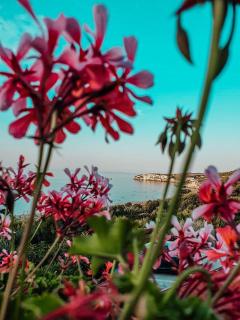 Case vacanze Baia del Gargano - 5