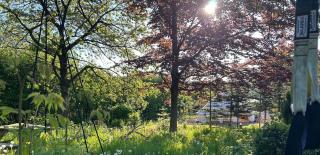 Cozy Garden Glamping - Svendborg - 8