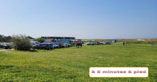 Au pied de la Plage de la falaise - 6