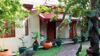 New King well resort and guest house - 2