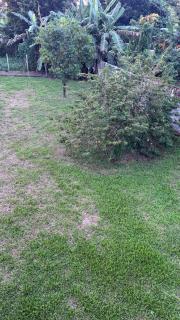 Enjoy House T3 Haut de Villa - Saint-Joseph - 6