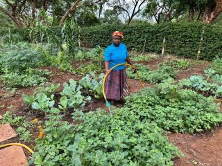 Summit Retreat - Moshi - 8