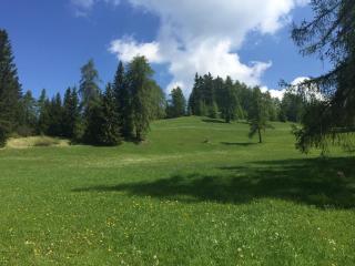 Wellness e Resort Stella Delle Alpi - Ronzone - 2