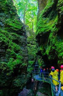 Wellness e Resort Stella Delle Alpi - Ronzone - 1