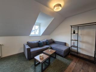 Mikra Homes24 in Meerane - Meerane - 7