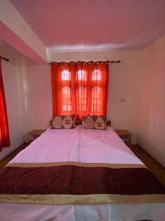 SomaHouse and Cafe, Spiti - 8