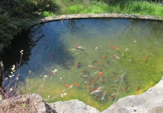 Domaine de l homme - 6