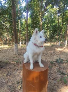 Aparajita Home Stay - - 6