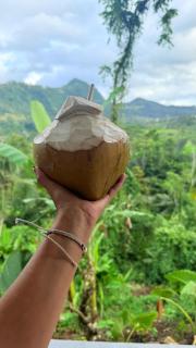 Sidemen padi villas - Silebeng - 7