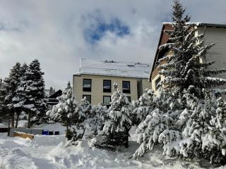 Ferienwohnung Harzer Jahreszeiten mit Terrasse - Braunlage - 5