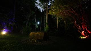 Royal heritage resort - Nikawatawana - 1